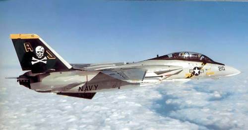 U.S. Navy Grumman F-14 in flight